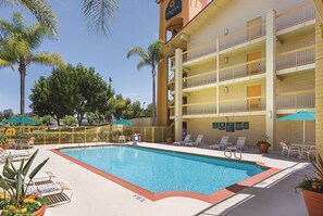 Outdoor pool, sun loungers