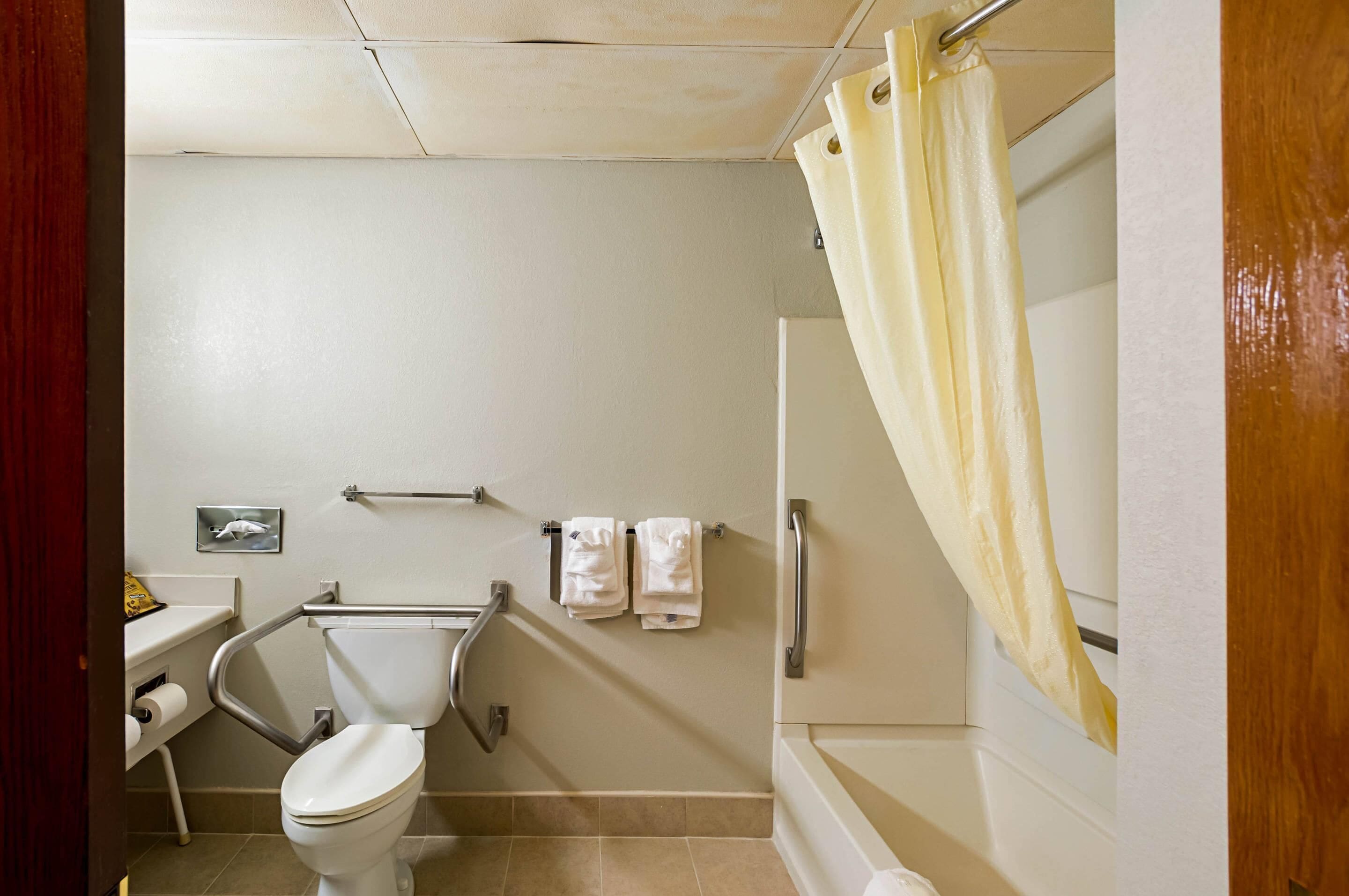 A bathroom with a toilet, a handrail, a towel rack, and a shower curtain.