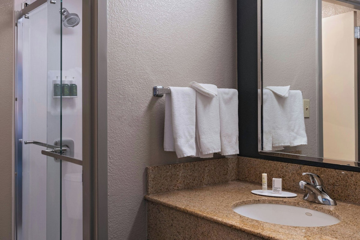 combined shower/bathtub, free toiletries, hair dryer, towels