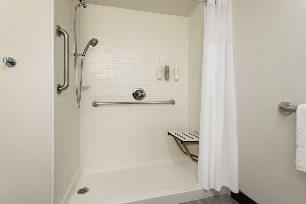 room, 1 king bed with sofa bed | bathroom shower