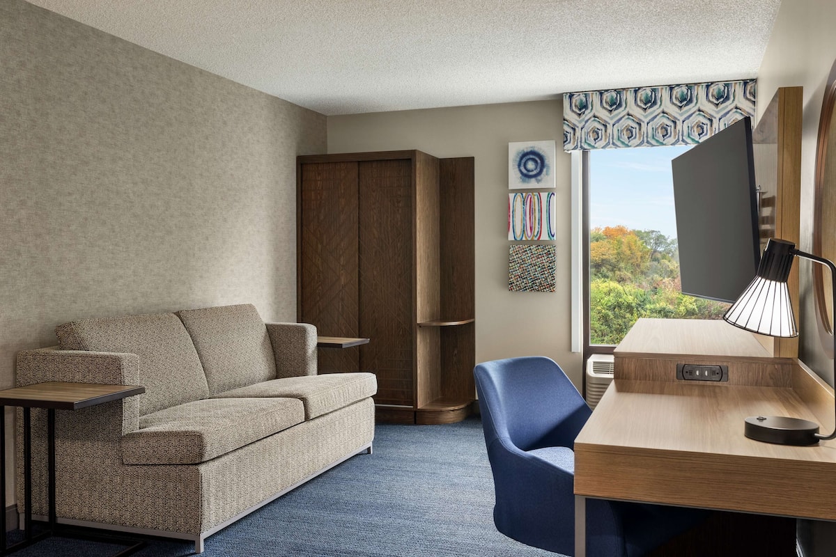 Habitación, 1 cama King size y sofá cama | Ropa de cama hipoalergénica y escritorio