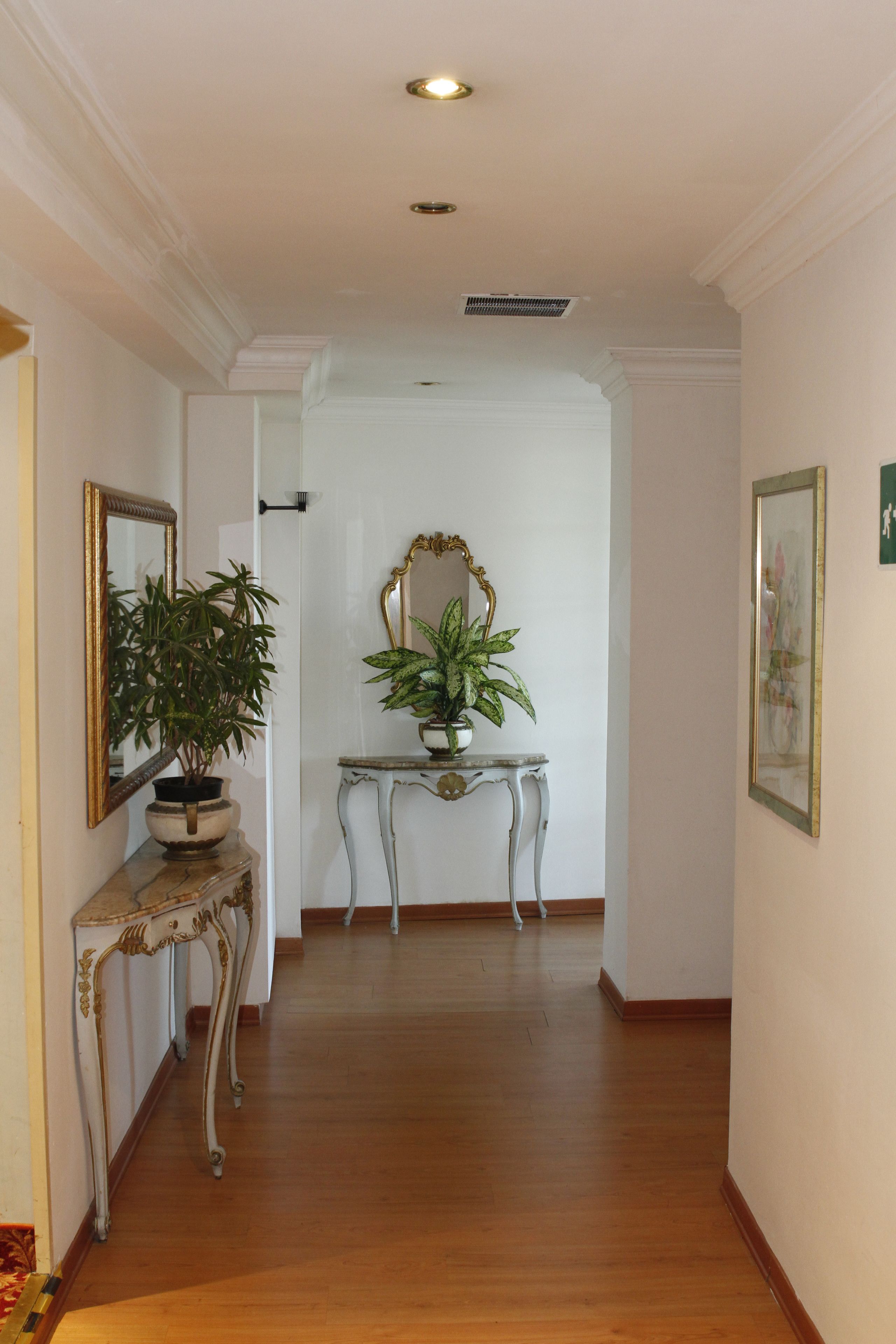 A hallway with a wooden floor, a white wall, and a white door at the end. There are two potted plants on a white console table.