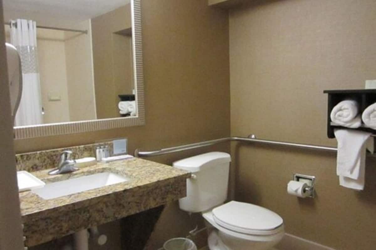 hydromassage showerhead, hair dryer, towels