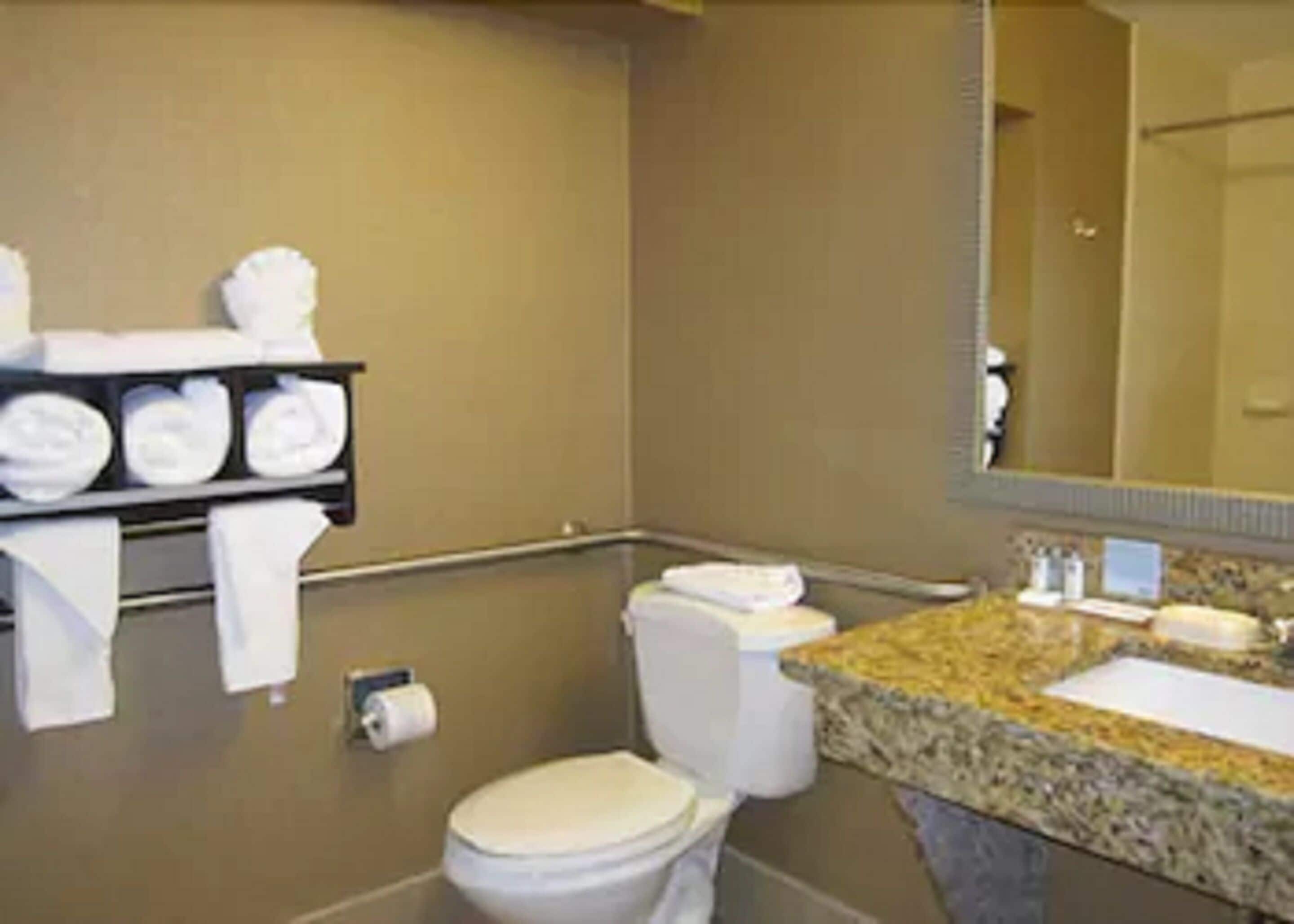 hydromassage showerhead, hair dryer, towels