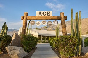 Welcome to ACE, where a rustic archway greets you to a haven with an AMIGO room, swim club, and King's Highway.