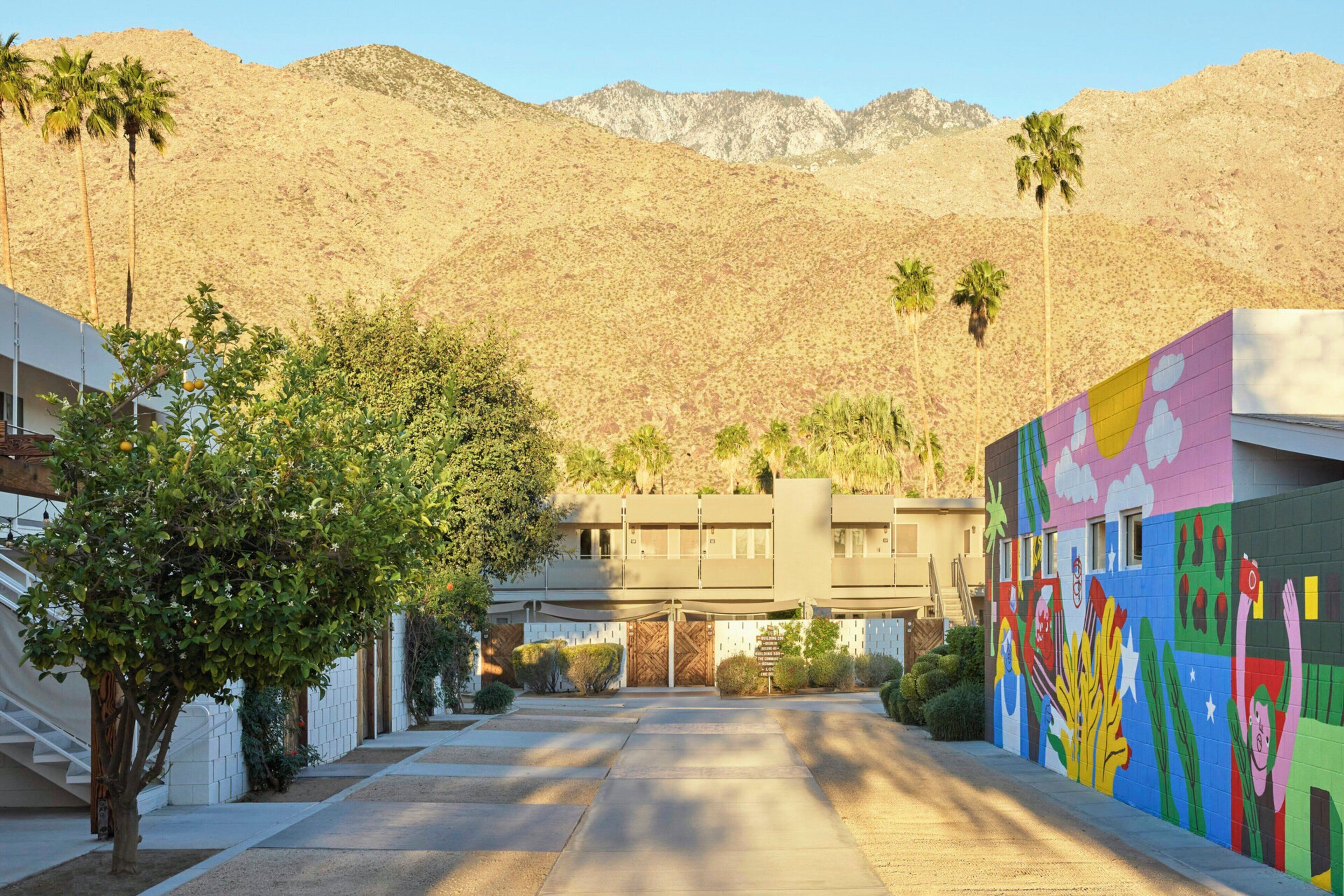 Foto - Ace Hotel and Swim Club Palm Springs