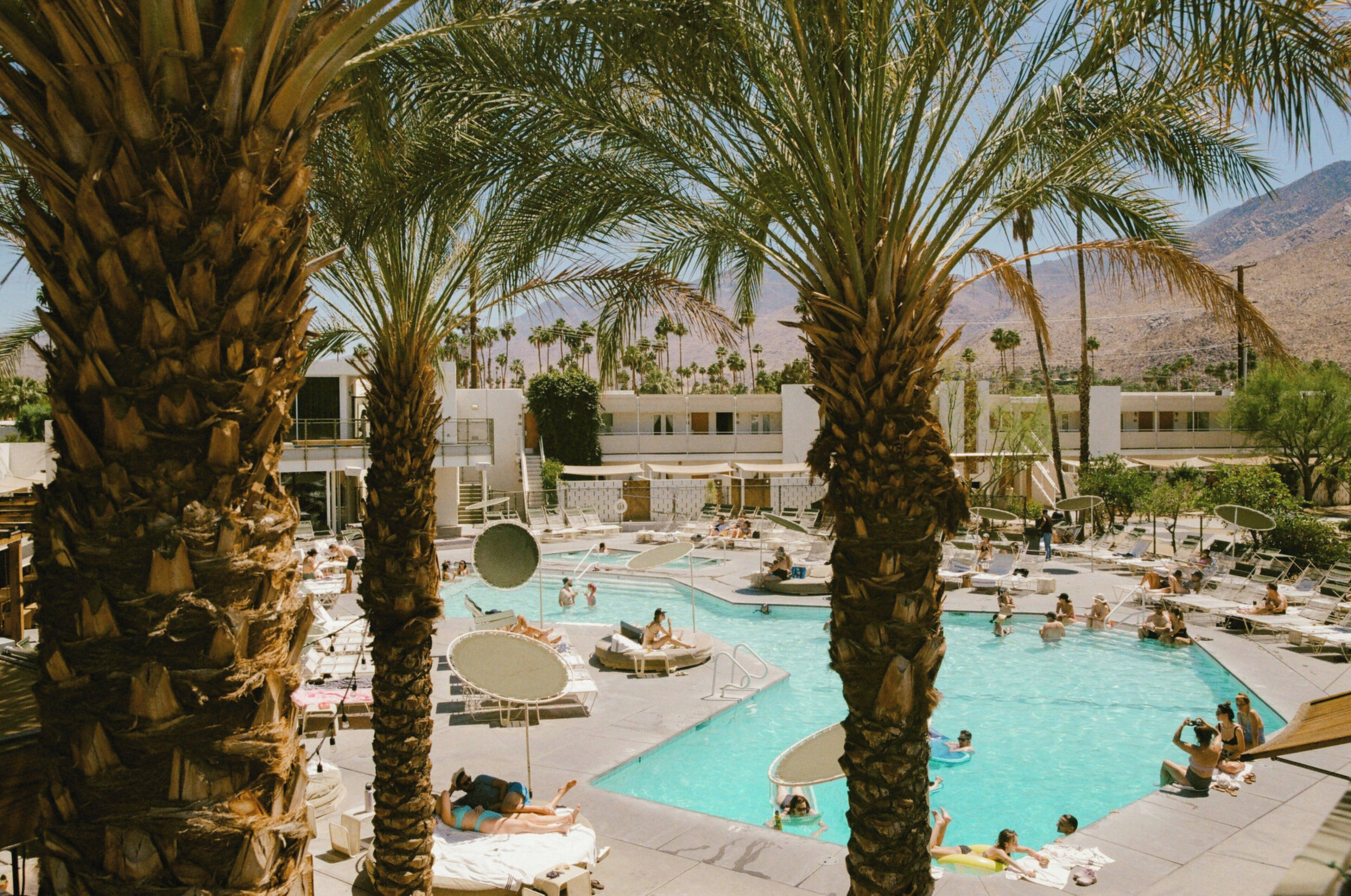 A pool area with multiple swimming pools, lounge chairs, and palm trees.