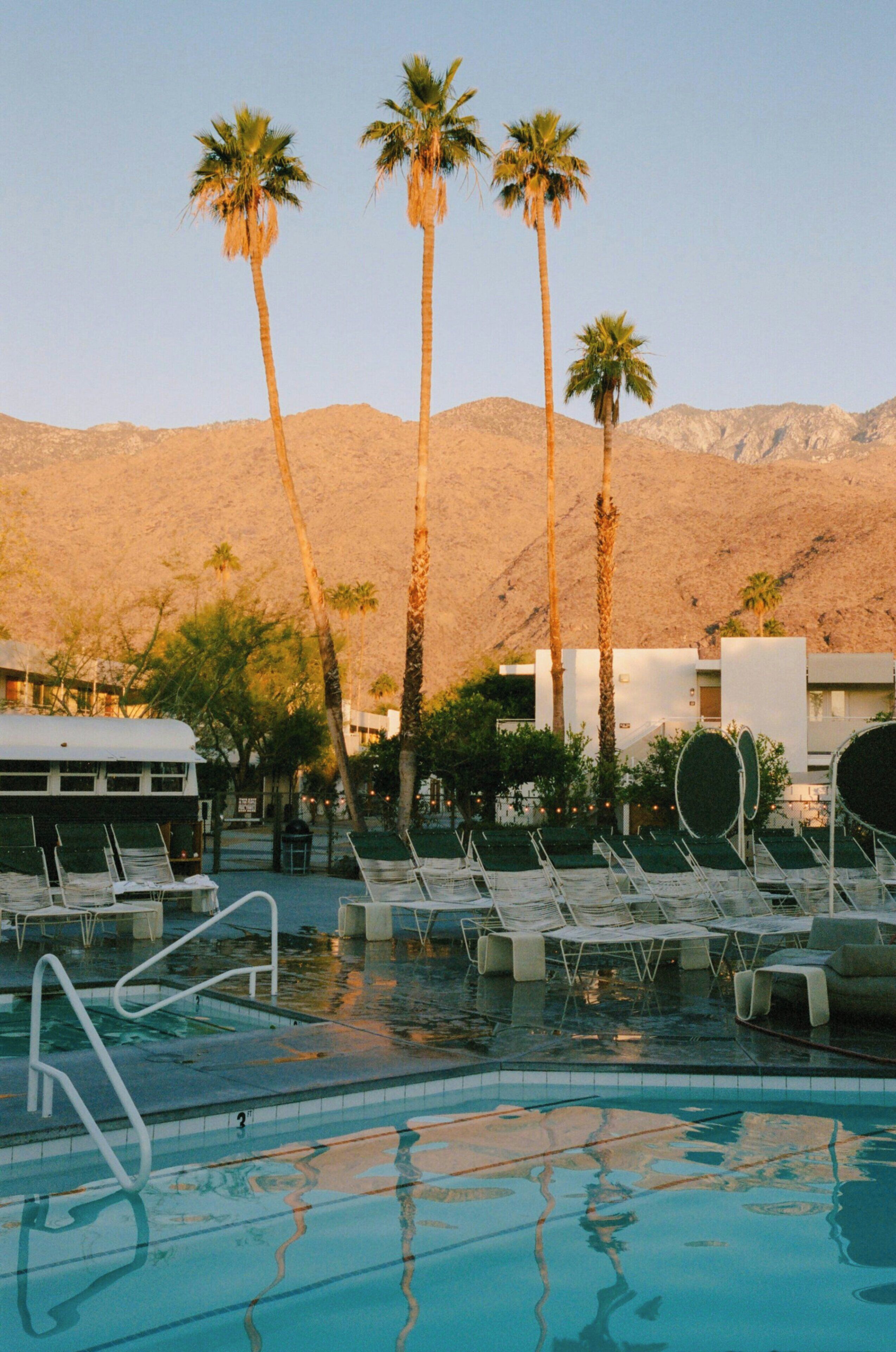 A swimming pool with lounge chairs and palm trees, surrounded by a desert landscape.