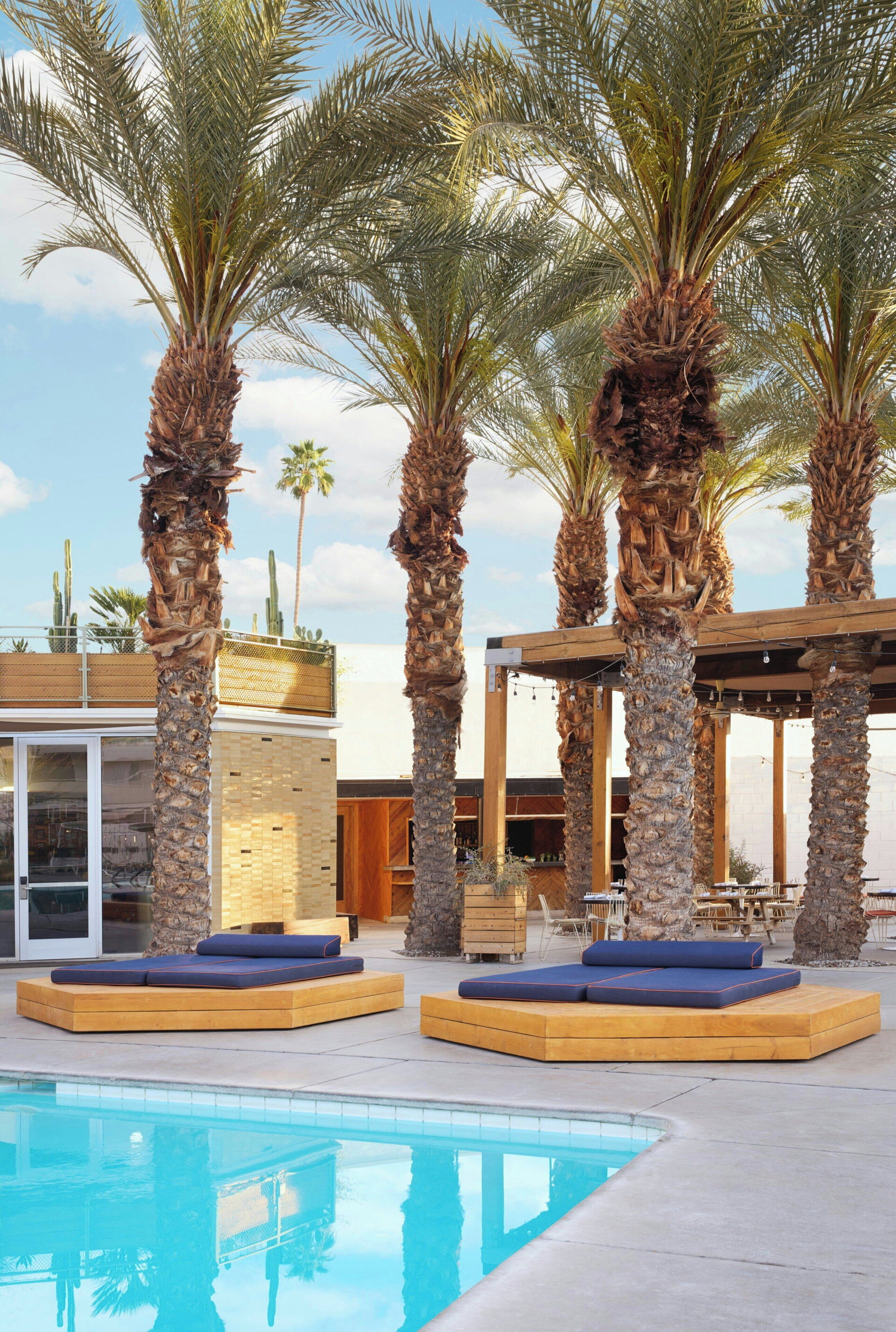 A poolside area with palm trees, wooden lounge chairs, and a modern building with large windows.