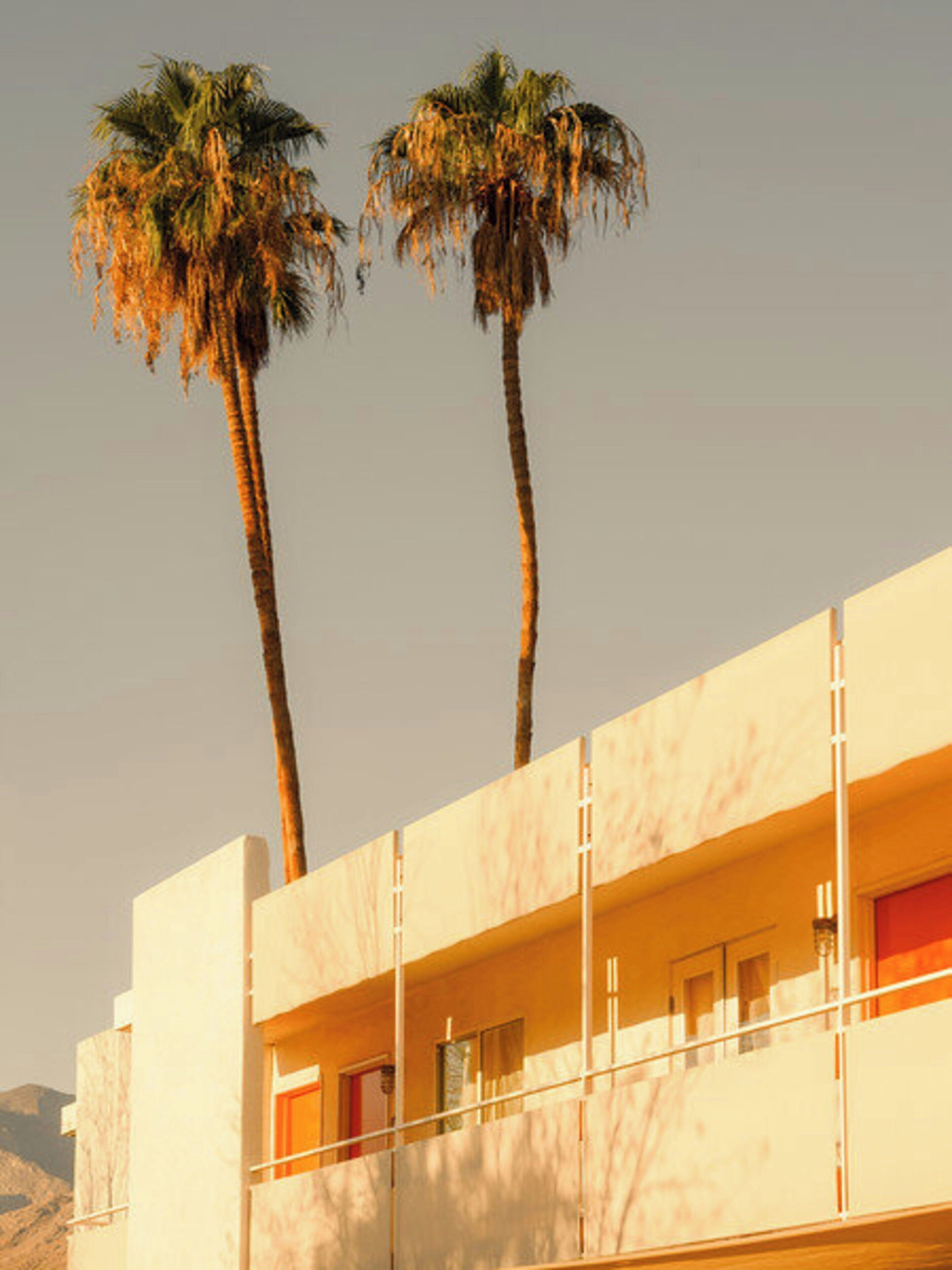 Foto - Ace Hotel and Swim Club Palm Springs