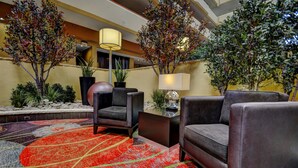 A lobby with two sofas, a chair, a lamp, and decorative trees.