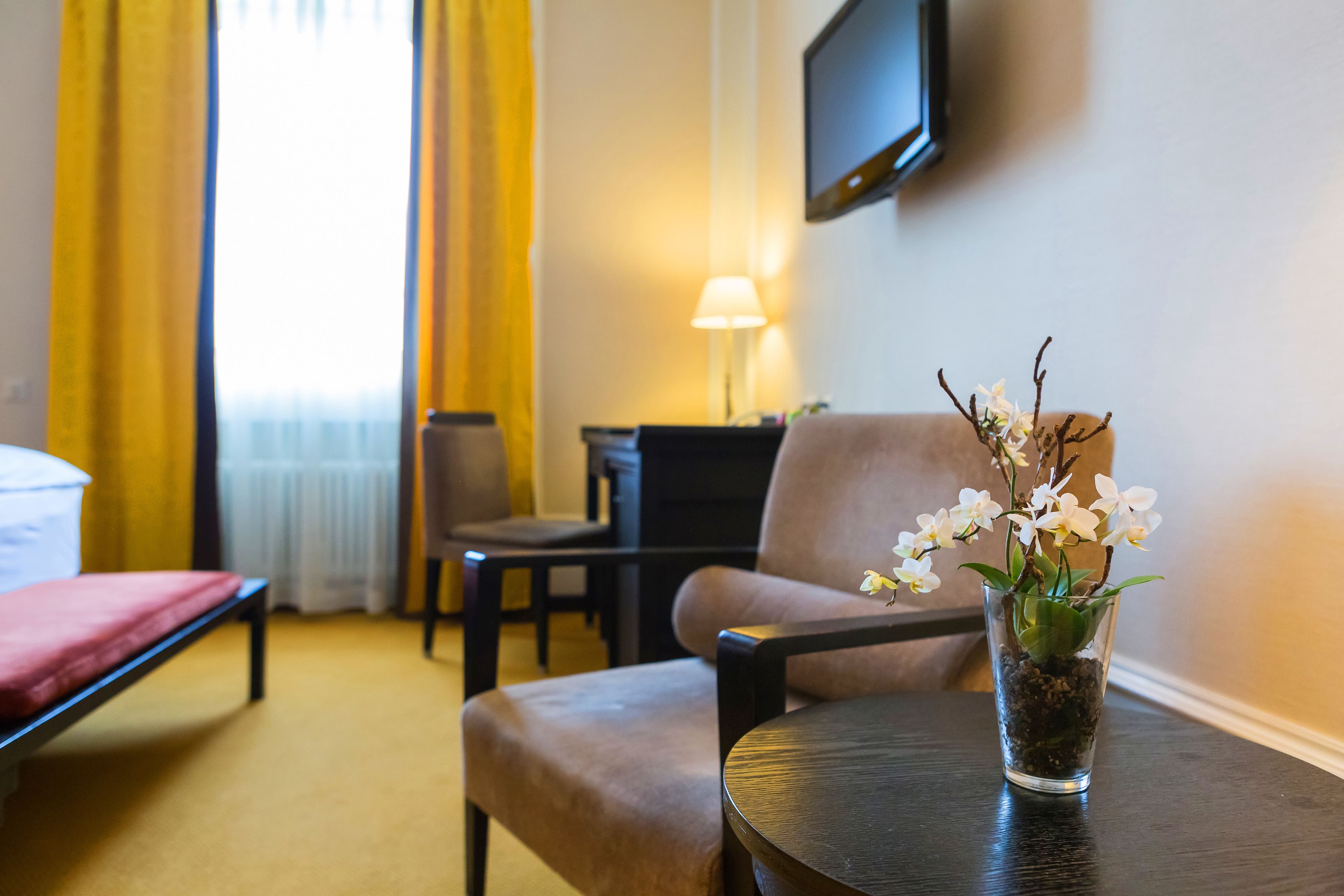 Foto - Hotel Euler Basel