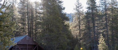 A cabin with a wooden deck and stairs leading up to it, surrounded by tall pine trees and snow on the ground.