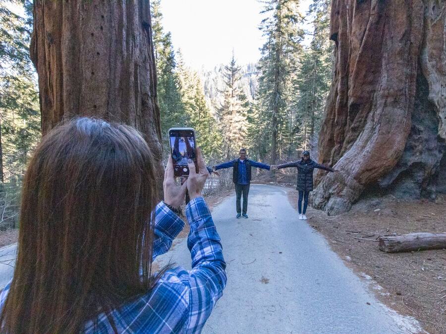 A person taking a photo of two people standing with arms outstretched between two large trees.