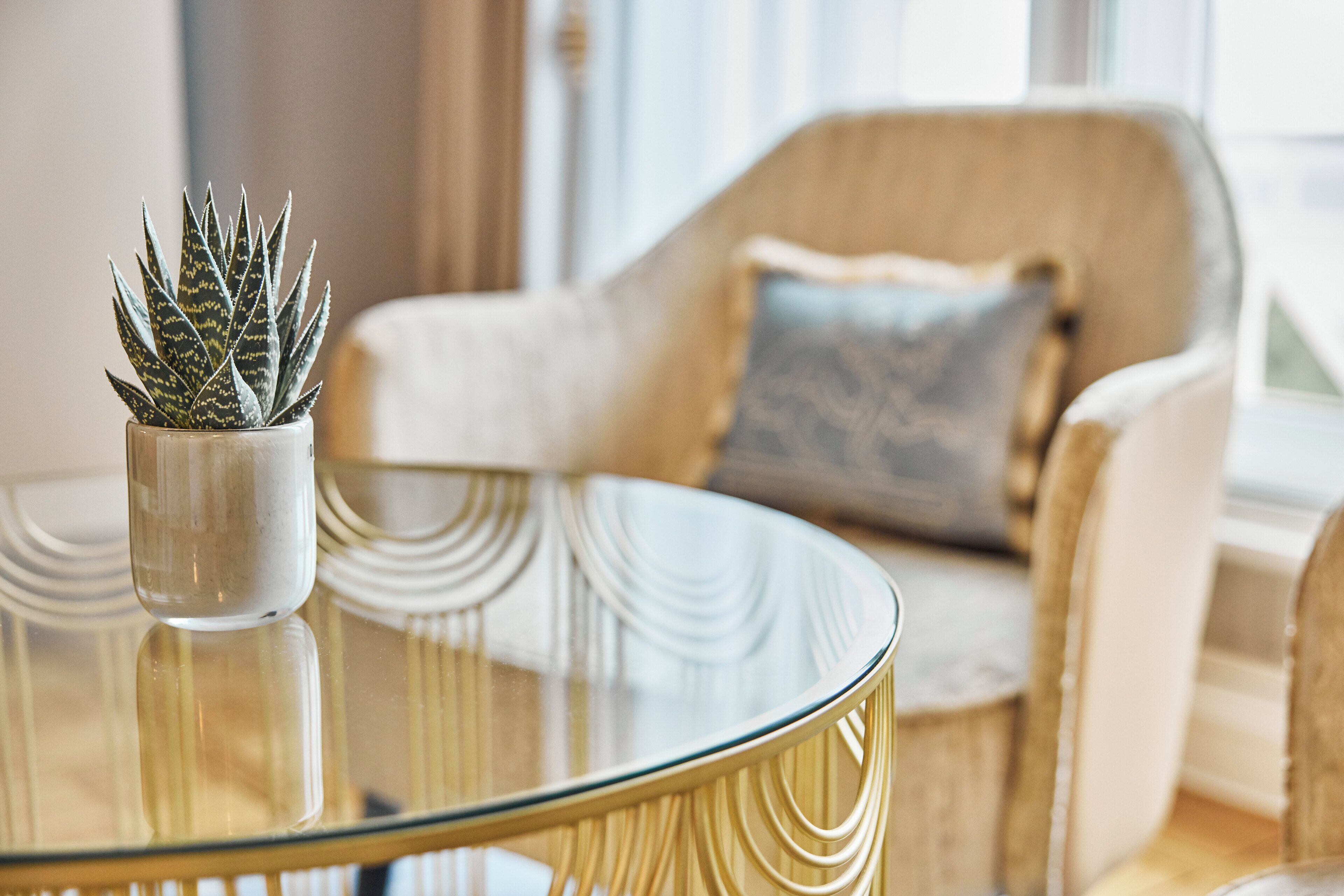 A modern living room with a glass table, a potted plant, and a sofa with a patterned cushion.