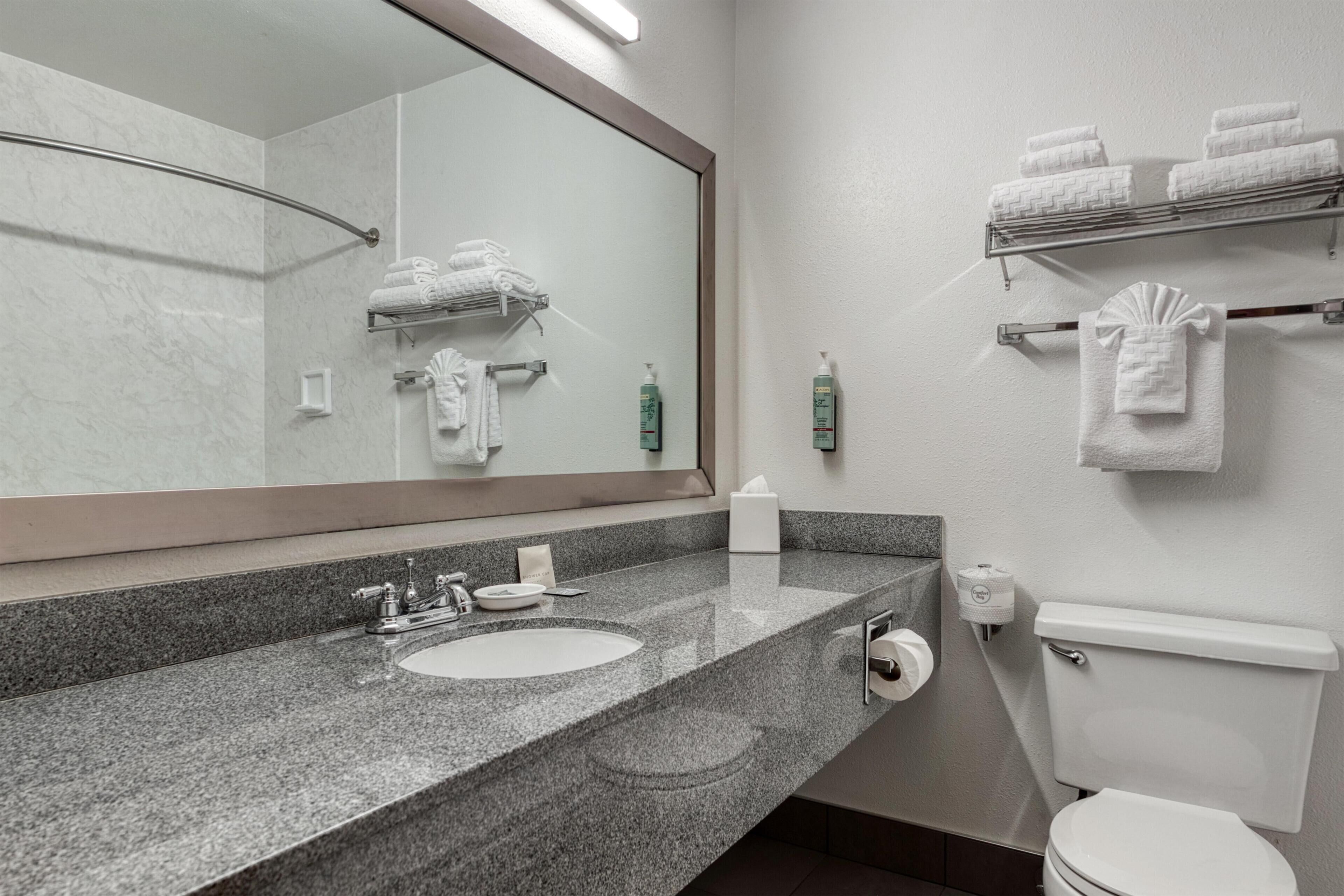 Bagno con lavabo su piano in granito, specchio, toilette e porta asciugamani.