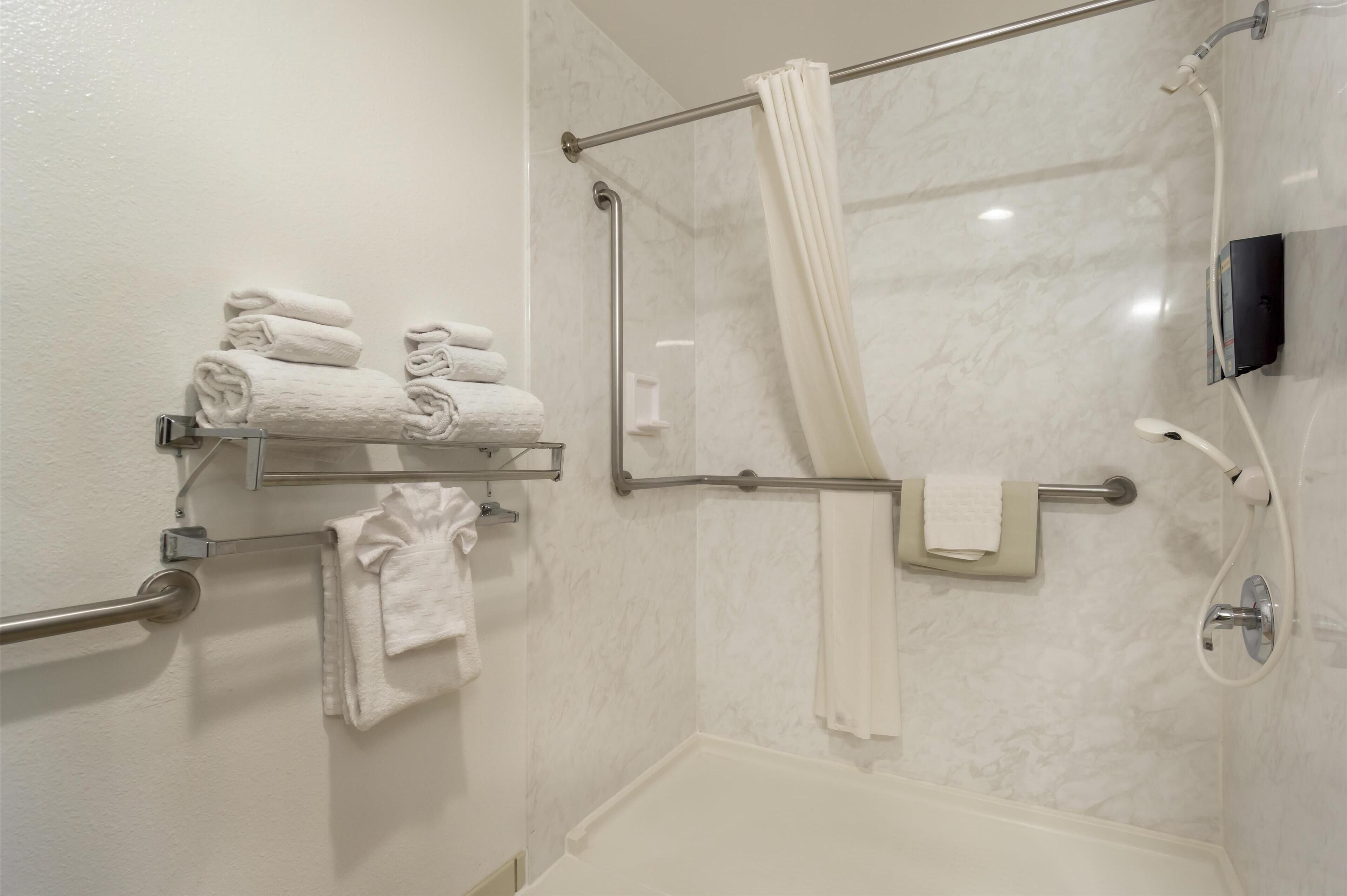 standard room, 1 queen bed, accessible, non smoking | bathroom | eco-friendly toiletries, hair dryer, towels, soap