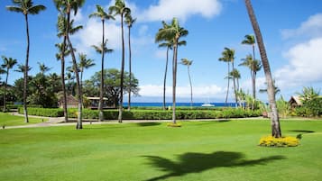 A well-maintained golf course with tall palm trees, a clear blue sky, and a view of the ocean.