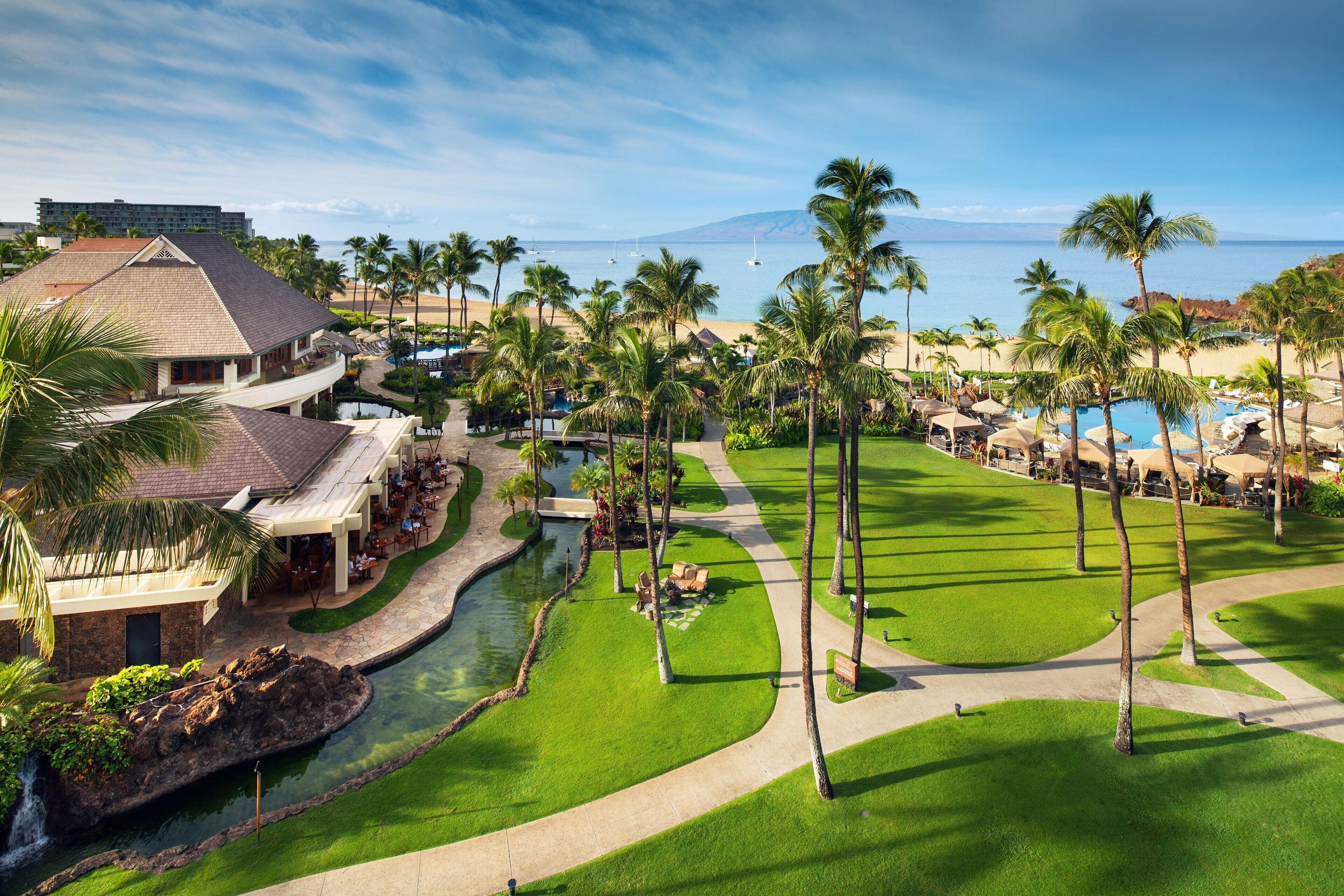 A resort with a pool, palm trees, and a view of the ocean.