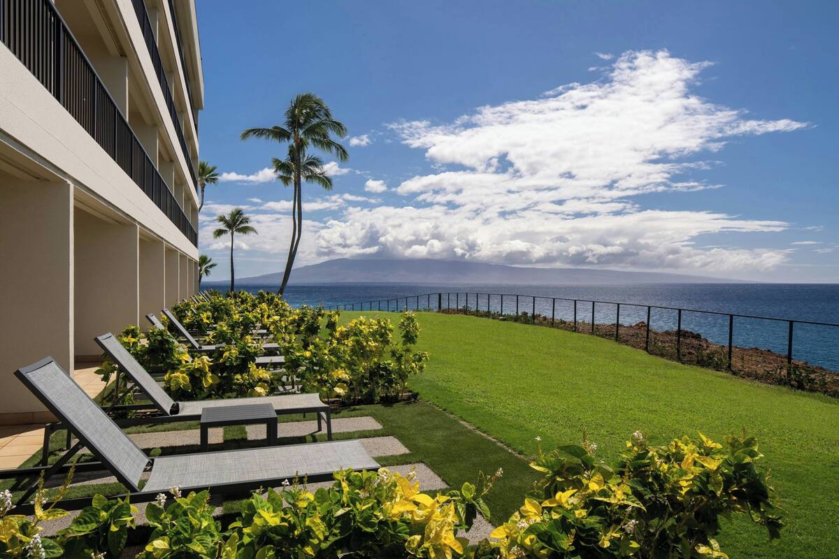A hotel patio with sun loungers, a grassy area, and a view of the ocean.