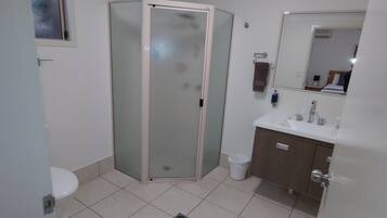 A bathroom with a toilet, a sink, a mirror, and a shower enclosure.