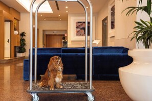 Pet-friendly