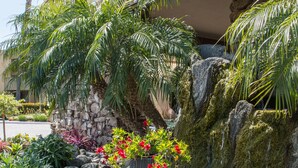 Un área ajardinada con palmeras, un muro de roca y un elemento acuático.