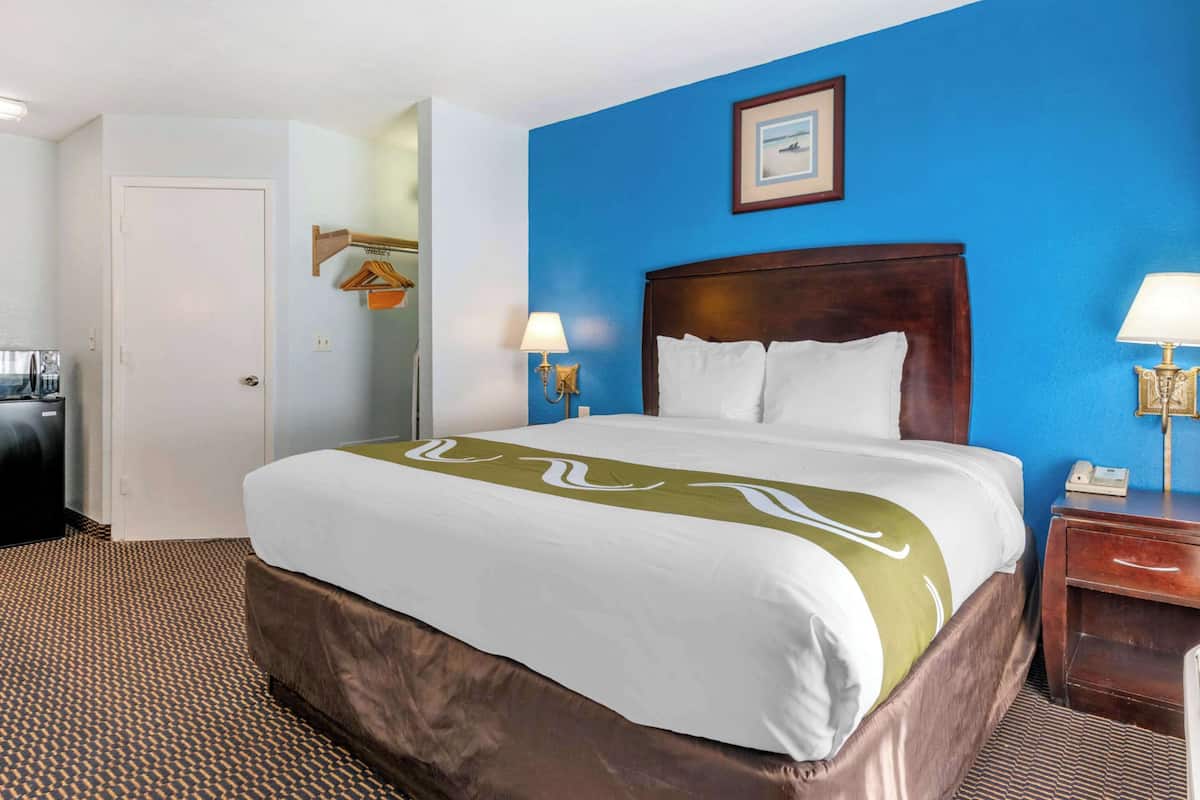 Standard Room, 1 King Bed, Non Smoking | Desk, laptop workspace, blackout drapes, iron/ironing board