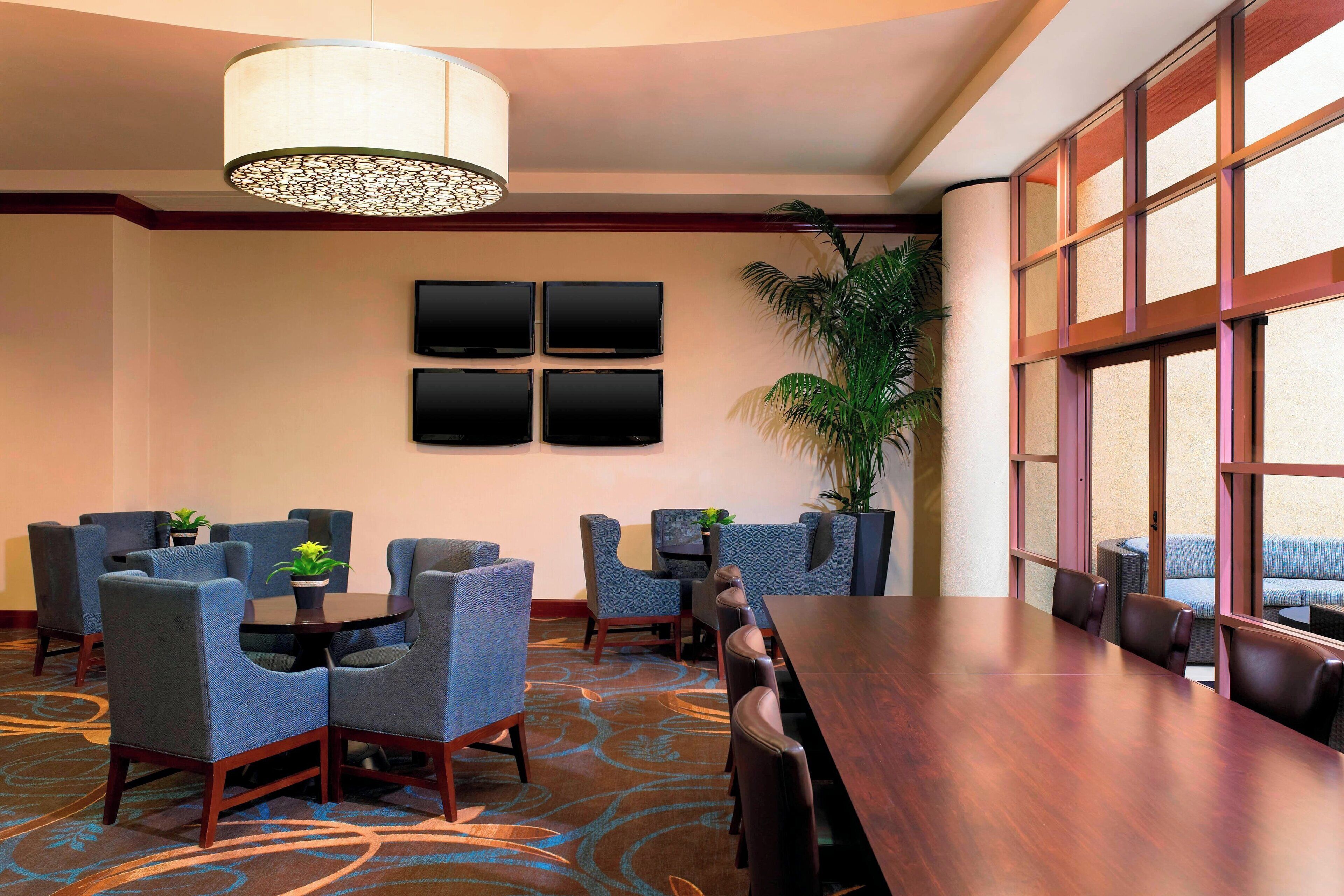 A conference room with a large table, blue chairs, a potted plant, and a large window with a view.