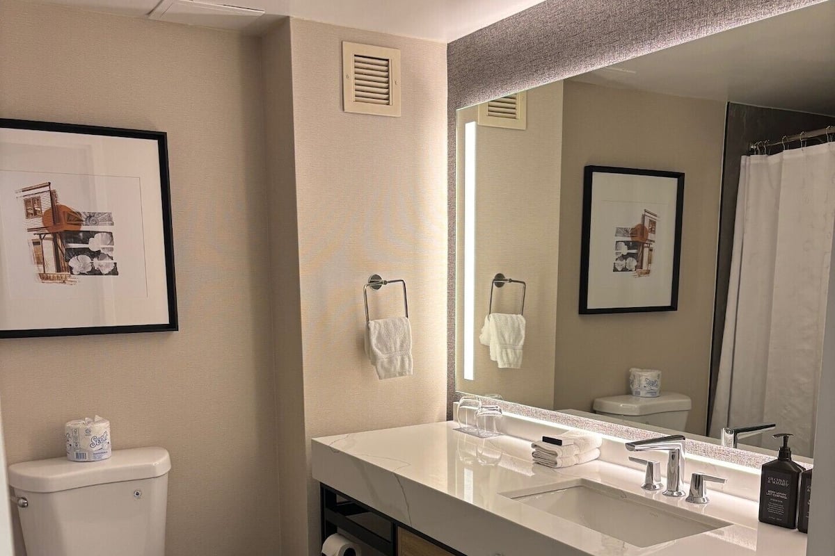 Combined shower/tub, free toiletries, hair dryer, towels