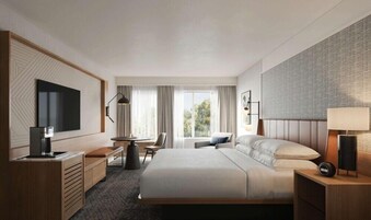 Premium bedding, down comforters, in-room safe, desk