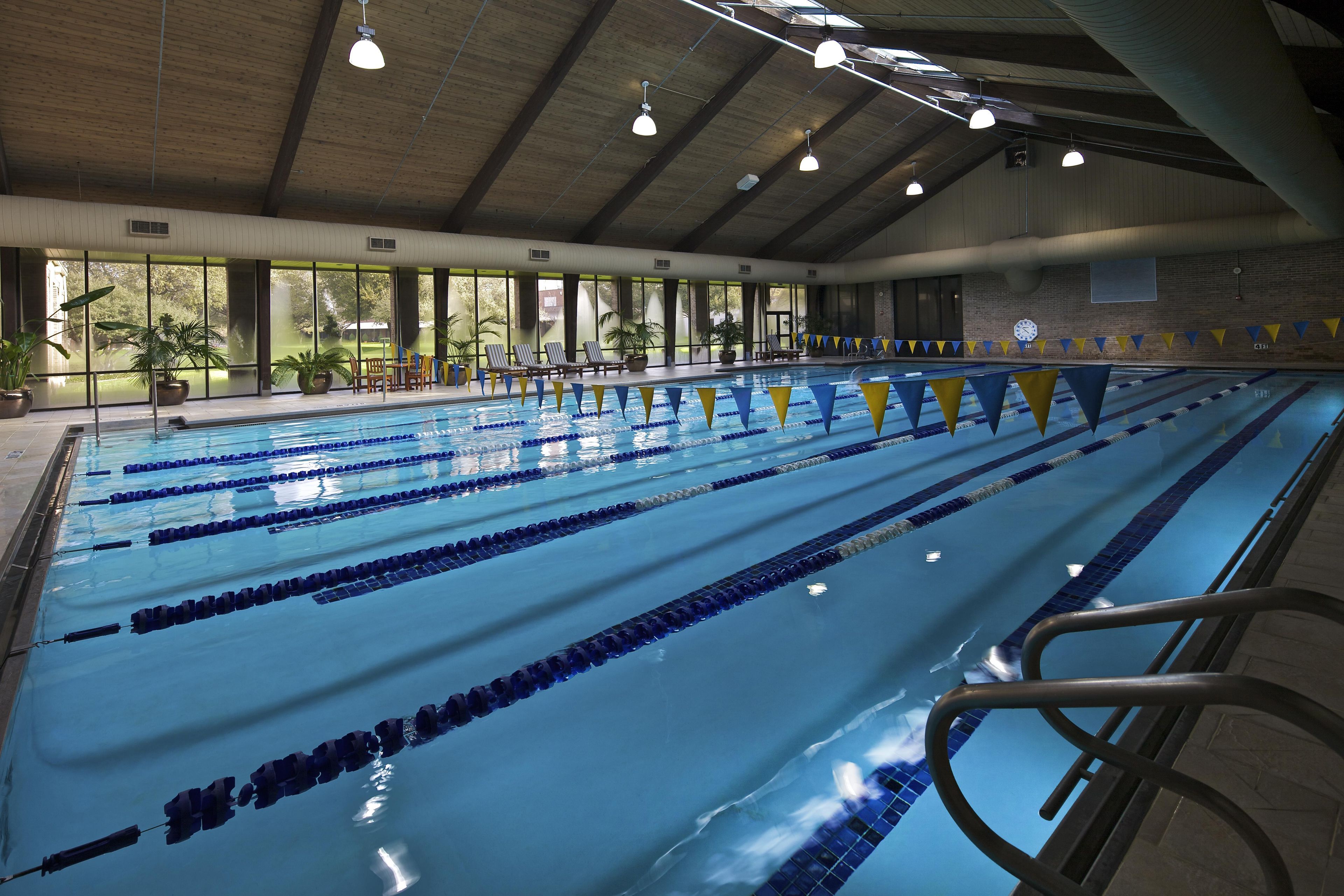 An indoor swimming pool with multiple lanes, a clock on the wall, and potted plants around the pool area.
