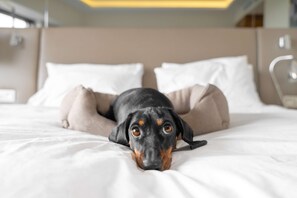 Premium bedding, pillowtop beds, in-room safe, iron/ironing board -  Hilton Anatole (Dallas)