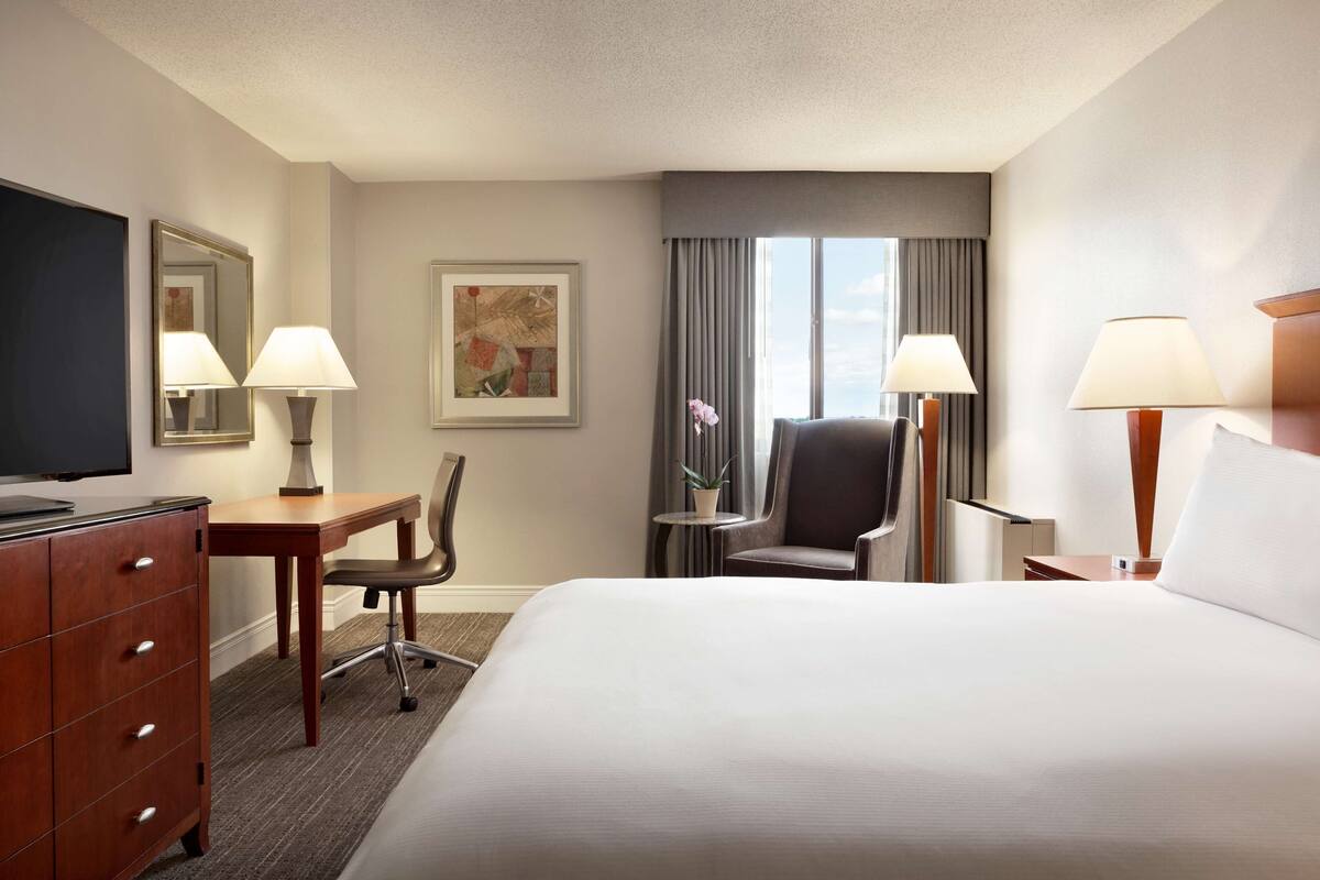 Habitación de hotel con una cama grande, un escritorio con una silla, un televisor, una lámpara, una mesita con una planta y una ventana con cortinas.
