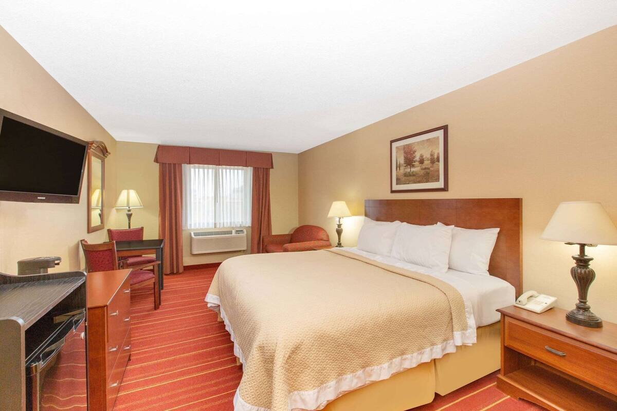 Une chambre d’hôtel avec un lit, un bureau, une chaise, une télévision, une lampe et un tableau au mur.