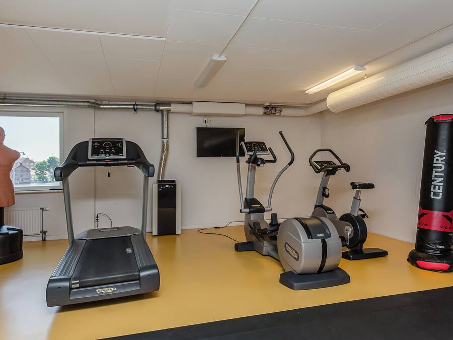 A gym with a treadmill, elliptical, stationary bike, punching bag, and a mannequin.