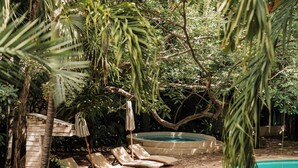 Zona de piscina con sillas de descanso y sombrillas, rodeada de exuberante vegetación.