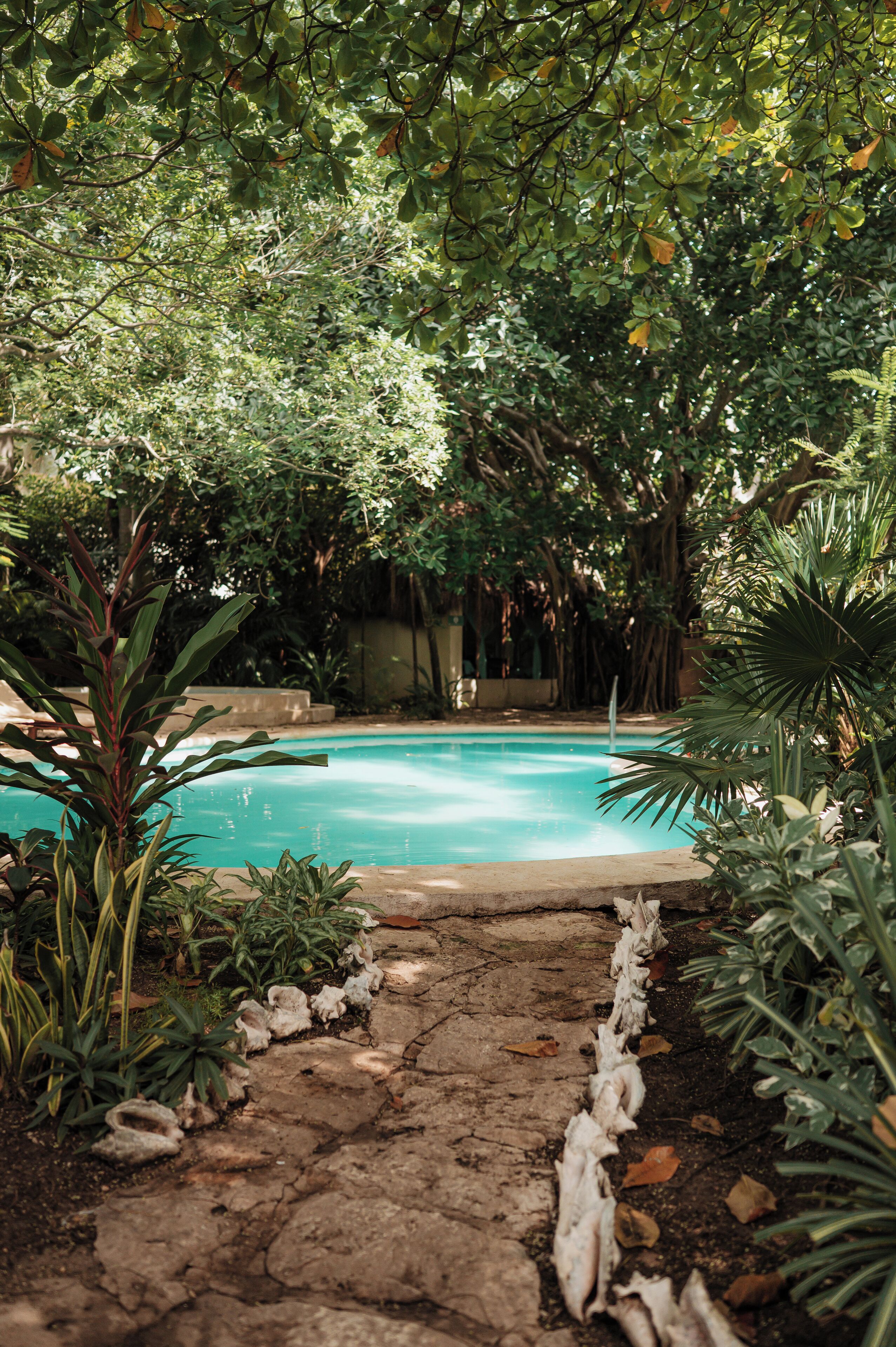 A swimming pool surrounded by lush greenery and a stone pathway.