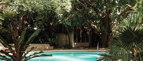 A swimming pool surrounded by lush greenery and a stone pathway.