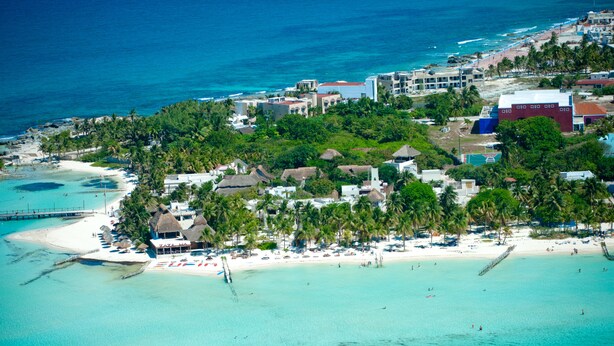 Vista aérea de un complejo turístico en la costa, con playa, palmeras y edificios.
