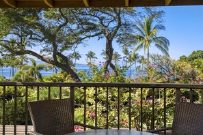 Room, 2 Bedrooms, Ocean View (2 bath) | Terrace/patio