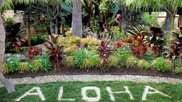 Jardin