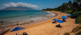 ワイレア・エカキ - コーラルツリーレジデンスコレクション