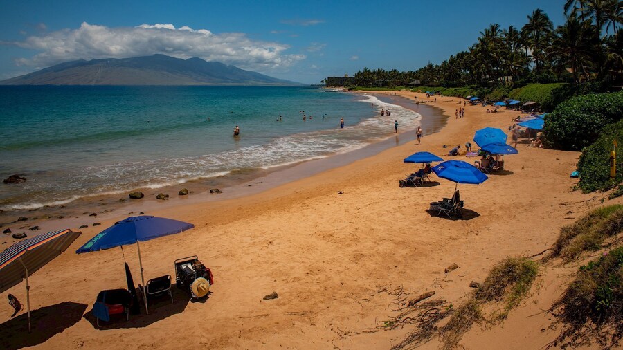 Wailea Ekahi - CoralTree Residence Collection