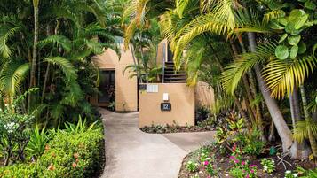 Studio | Accommodatievoorzieningen