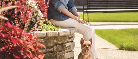 Una persona sentada en un banco de piedra con un perro a su lado, rodeada de flores.