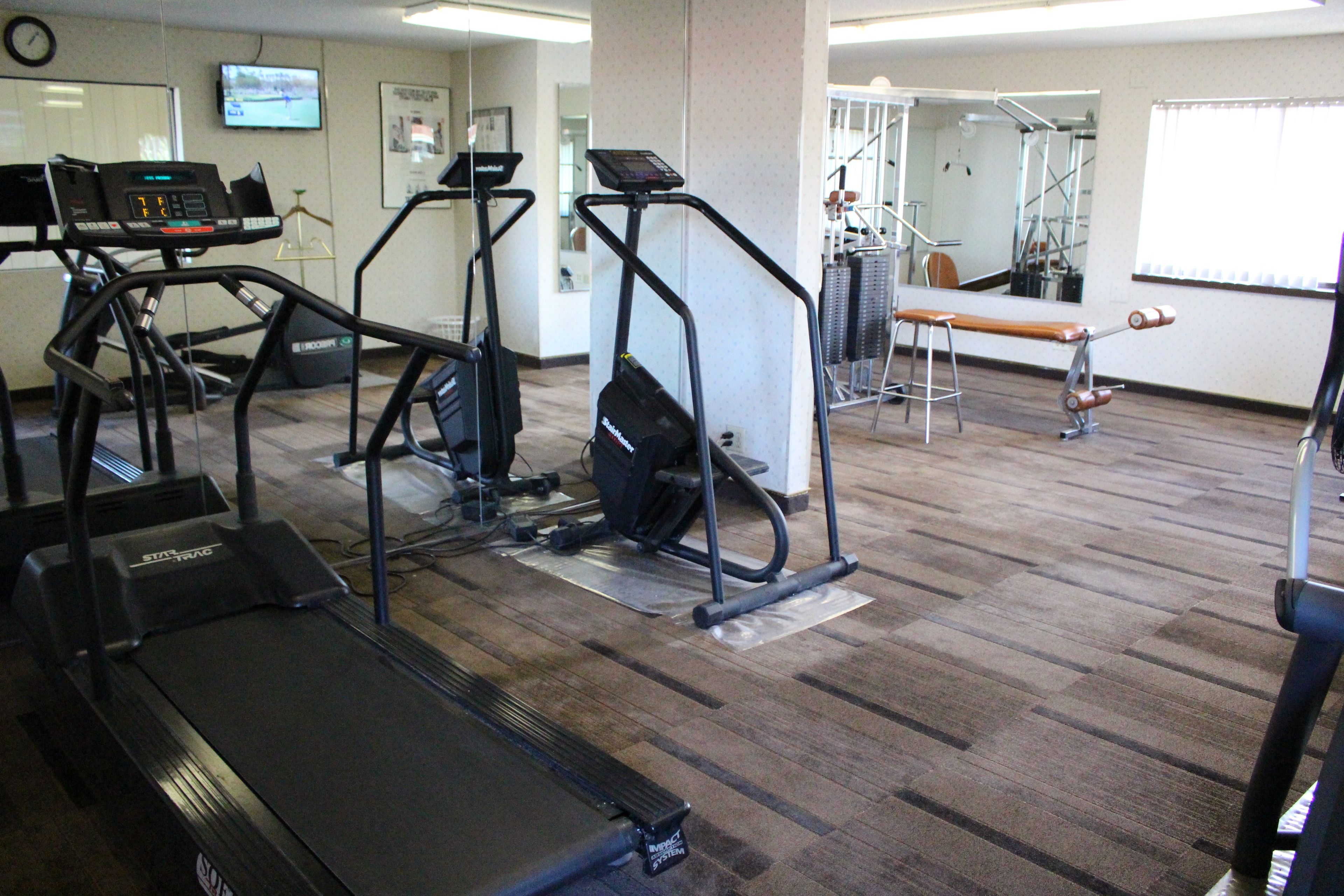 A gym with treadmills, elliptical machines, and a bench.