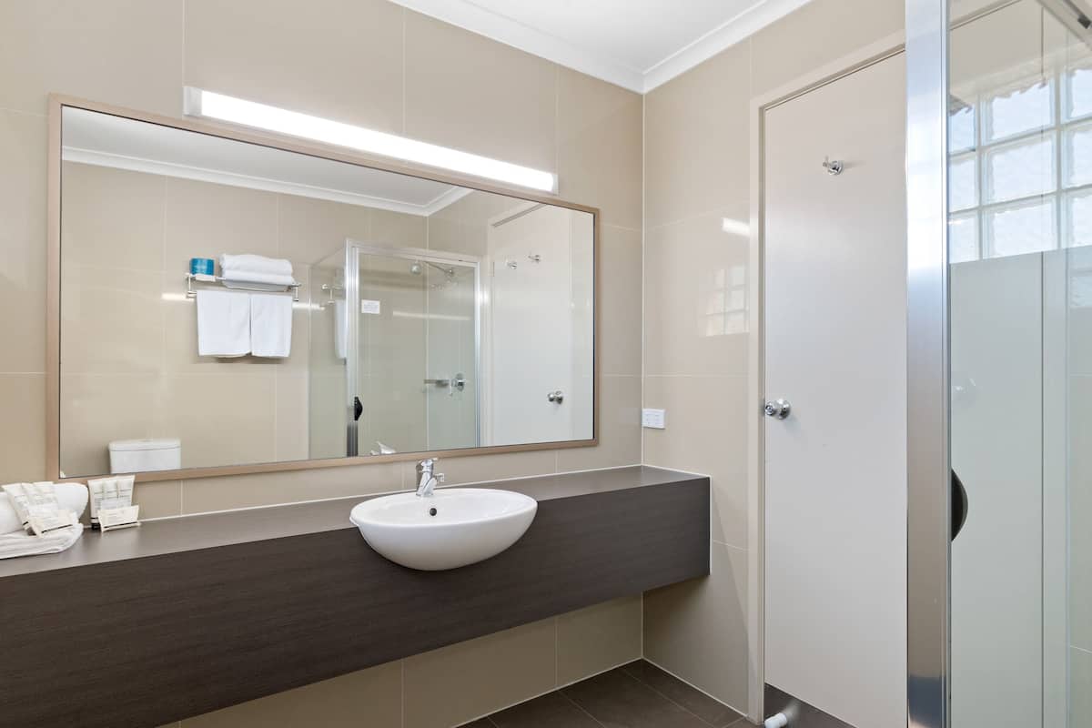 shower, free toiletries, hair dryer, towels