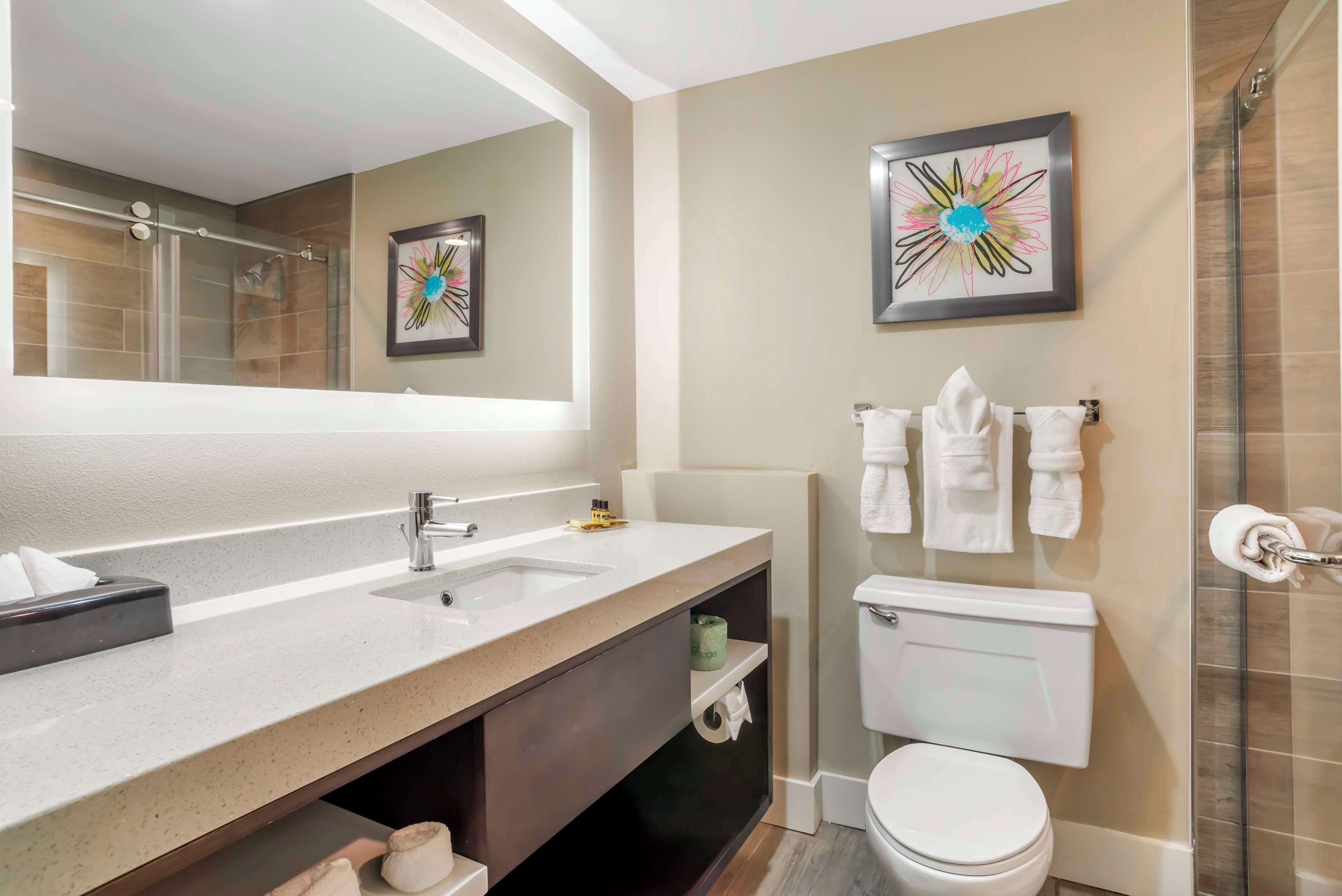 A modern bathroom with a large mirror, a dual sink vanity, a toilet, and a shower area.