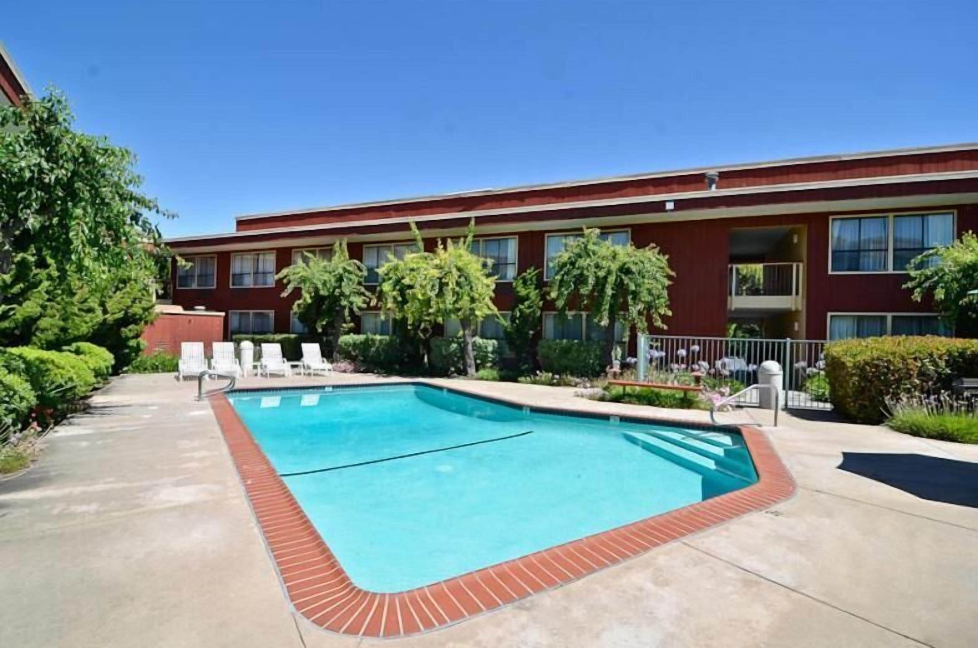 A swimming pool with lounge chairs, surrounded by a brick border and greenery.